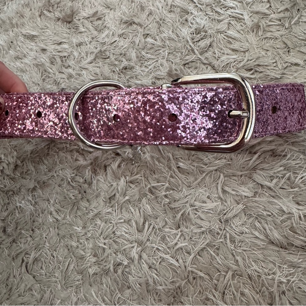 Dolly Parton Doggie Parton Glam Glitter Pink Dog Collar